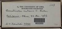 Image Associated With the Occurence